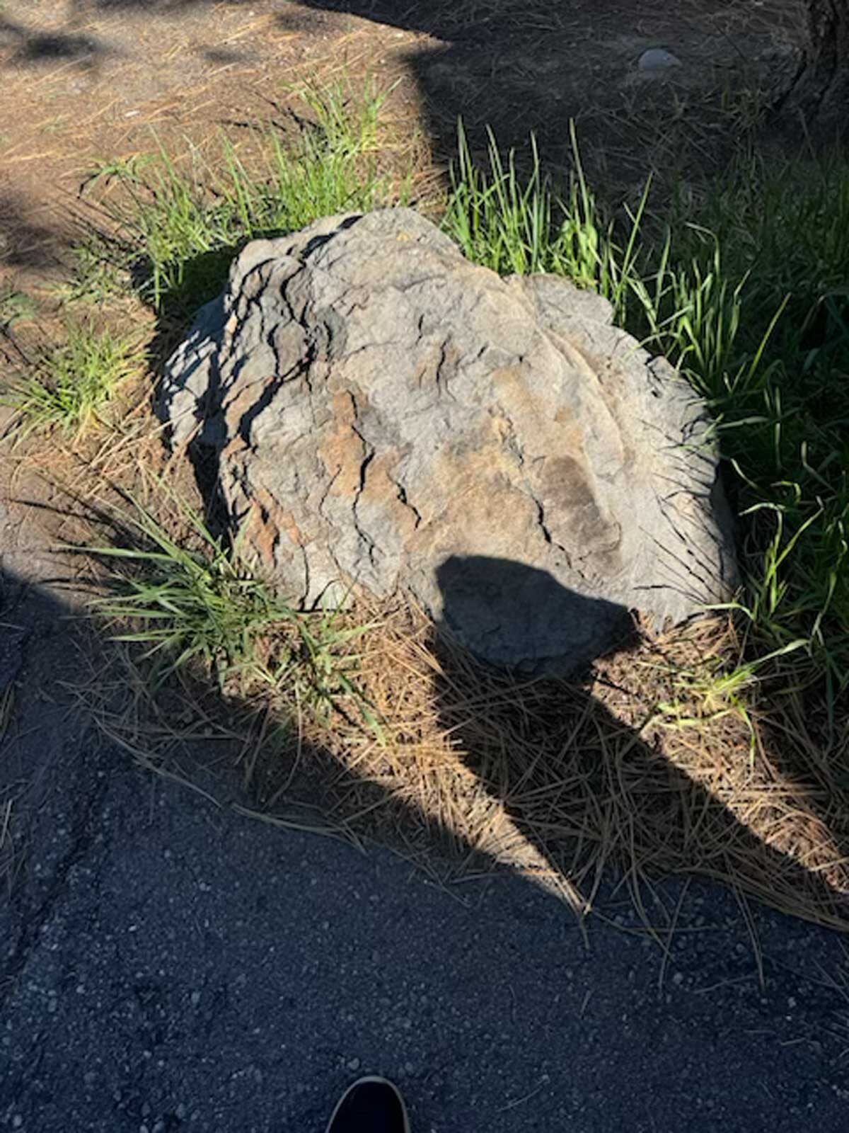Boulder and grass at the edge of a paved driveway