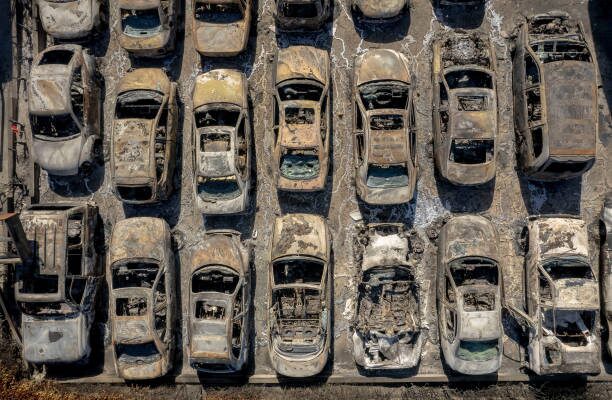 Rows of burned-out cars after a wildfire