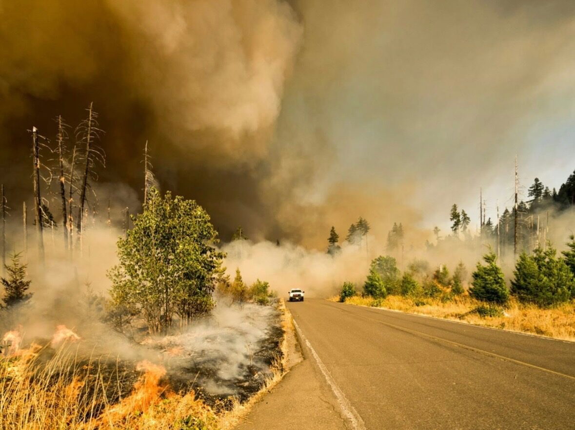 Wildfire burning along both sides of a road under heavy smoke